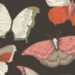 Meet your Posher, Quinn